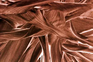 Detailed abstract close-up of interwoven textures with earthy tones and intricate patterns. jigsaw puzzle