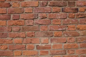 Close-up of a sunlit, weathered brick wall showing detailed texture. jigsaw puzzle