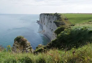 Breathtaking view of white cliffs meeting the calm blue sea in a grassy landscape. jigsaw puzzle