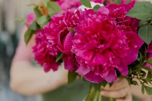 Close-up of a vibrant pink peony bouquet with lush green leaves, showcasing nature's beauty. jigsaw puzzle