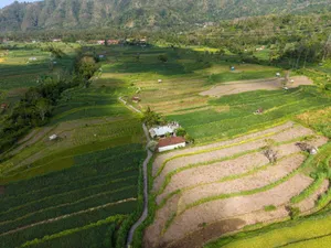 A breathtaking aerial view of vibrant rice terraces in Bali, Indonesia showcasing lush greenery and rural landscape. jigsaw puzzle