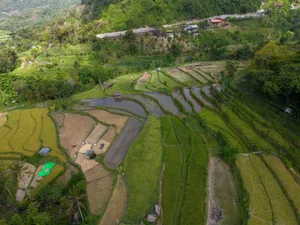 Scenic aerial view of lush rice terraces surrounded by green hills in Bali, Indonesia. jigsaw puzzle