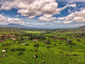 Stunning aerial view of lush green rice fields in Bali, Indonesia under a vibrant blue sky. jigsaw puzzle