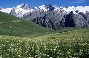 Alpine meadow in La Grave, France with wildflowers and mountains under a clear sky. jigsaw puzzle