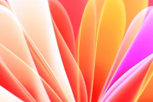A colorful abstract image featuring gradient petals with warm orange, pink, and red hues. jigsaw puzzle