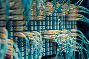 Closeup of rows of tiny round white electrical connectors and long thin blue wires in data center jigsaw puzzle