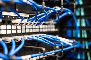 Blue plastic wires with white tips connected to server and provide access to information jigsaw puzzle