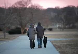 Couple walking dog in park at twilight, winter coats on, calm atmosphere. jigsaw puzzle
