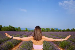 Back view of a woman with arms outstretched in a lavender field under a clear blue sky. jigsaw puzzle