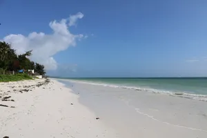 Idyllic white sand beach and azure ocean under clear skies in Zanzibar, Tanzania. jigsaw puzzle