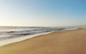 Peaceful coastal scene featuring a sandy beach meeting the endless ocean under a clear sky. jigsaw puzzle