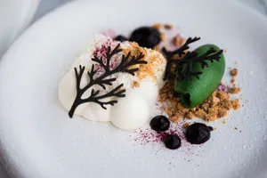 Close-up of a refined dessert with chocolate decor, perfect for gourmet enthusiasts. jigsaw puzzle
