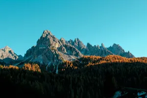 Majestic peaks and autumn forest bathed in morning light. jigsaw puzzle