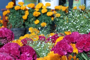 An array of colorful marigolds and celosia flowers in a summer outdoor market setting. jigsaw puzzle