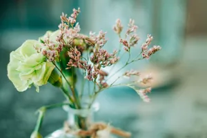 Delicate arrangement of limonium and green carnation in a small glass vase. jigsaw puzzle