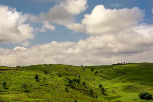 Vibrant green hills and scattered trees under a cloud-filled blue sky. Perfect nature scene. jigsaw puzzle