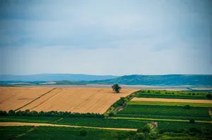 Breathtaking landscape of rolling agricultural fields with vibrant greens and browns under a cloudy sky. jigsaw puzzle