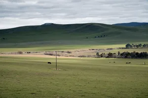 Wide open pasture in rural Australia with cattle grazing under cloudy skies. jigsaw puzzle