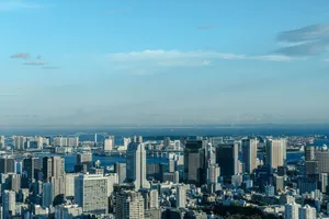 Captivating aerial cityscape of Tokyo with its iconic skyline and distant sea view under a clear sky. jigsaw puzzle