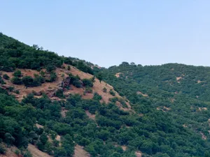 Capture the serene beauty of Tunceli's green hills with dense foliage and clear skies. jigsaw puzzle
