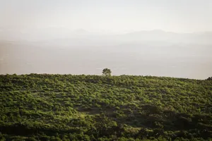 Stunning green landscape view in Tepetlaoxtoc de Hidalgo, Mexico, showcasing nature's beauty. jigsaw puzzle
