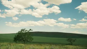 Beautiful landscape of a green field with clear blue skies and fluffy clouds, capturing the essence of summer. jigsaw puzzle