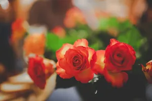 Close-up of vibrant red-orange roses creating a perfect romantic bouquet. jigsaw puzzle