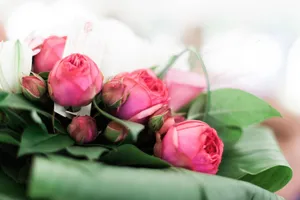 Close-up of a vibrant pink rose bouquet with lush green leaves, perfect for romantic occasions. jigsaw puzzle