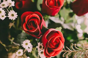 Close-up of vibrant red roses with white flowers and green foliage. jigsaw puzzle