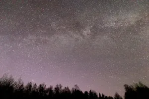 A serene night sky filled with stars and the Milky Way above a silhouette of trees. jigsaw puzzle