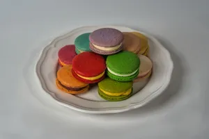 A vibrant assortment of macarons arranged on a classic white plate, showcasing diverse colors and flavors. jigsaw puzzle