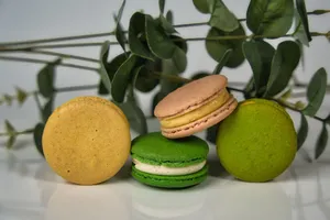 Close-up of colorful macarons with eucalyptus, showcasing delicious French delicacies. jigsaw puzzle