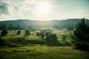 Picturesque countryside landscape with rolling hills and morning sunlight. jigsaw puzzle