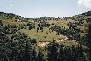 Lush green hills with scattered trees and winding path under clear skies. Perfect tranquility. jigsaw puzzle
